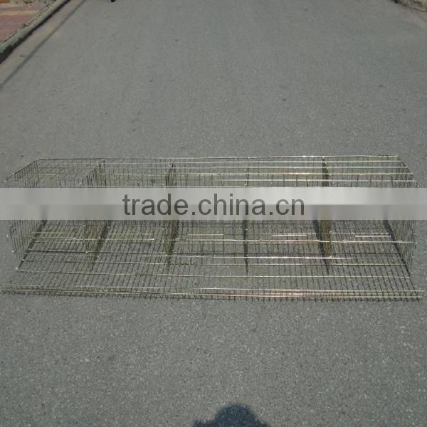 chicken layer cage/chicken breeding cage/chicken cage