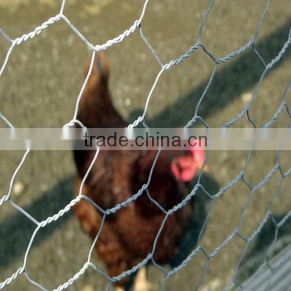 China alibaba Automatic system for H TYPE chicken breeding cage/chicken layer cage