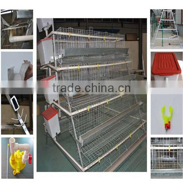 China alibaba Automatic system for H TYPE chicken breeding cage/chicken layer cage