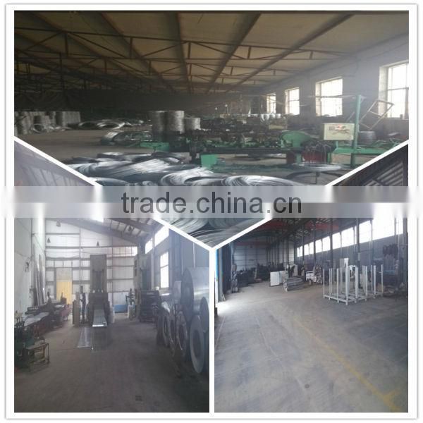 10% of discount beautiful animal cages from China manufacturer