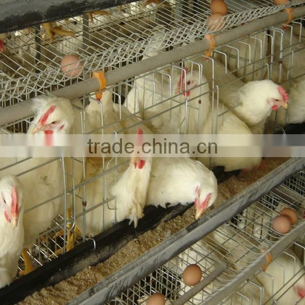 chicken layer cage/chicken breeding cage/chicken cage