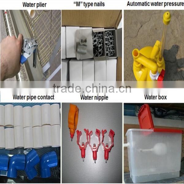 China alibaba Automatic system for H TYPE chicken breeding cage/chicken layer cage