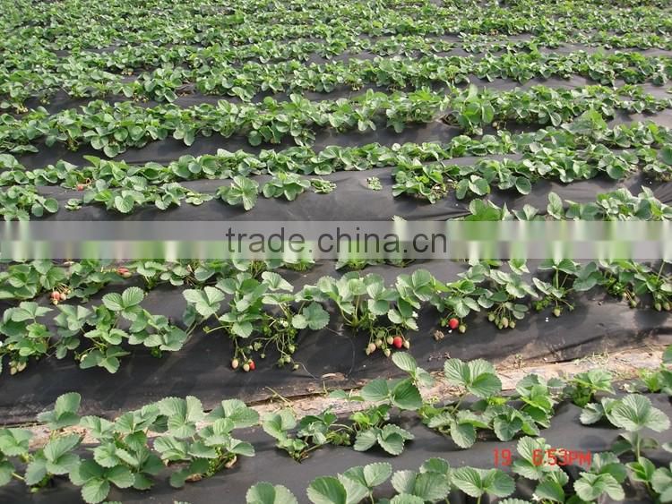 New Product Distributor Wanted Fabric Rolls Weed Control Agriculture Nonwovens