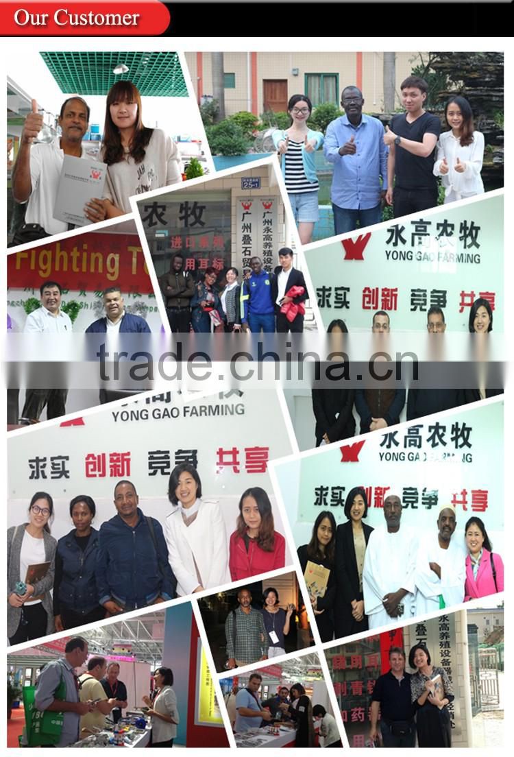 Pig Farming Feeding Equipment Livestock Equipment