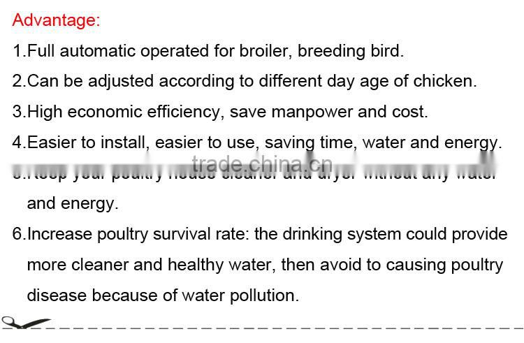 poultry equipment for broiler nipple drinker