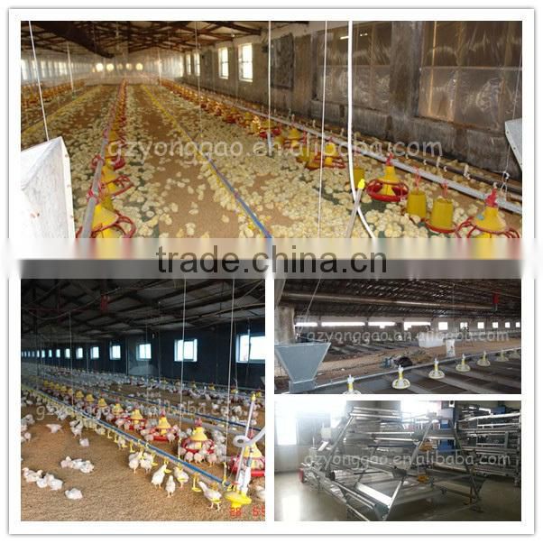 YONGGAO Professional chicken automatic feeder poultry farm waterers automatic feeding system