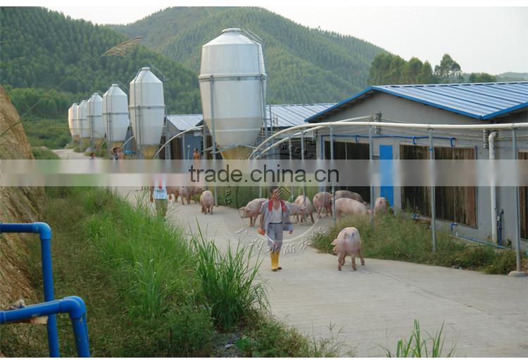 Pig Farming Feeding Equipment Livestock Equipment