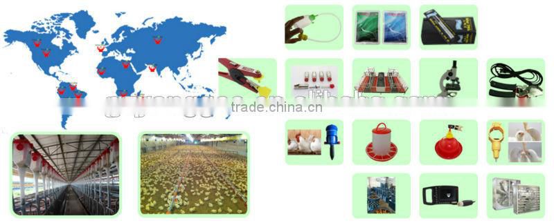 YONGGAO Professional chicken automatic feeder poultry farm waterers automatic feeding system