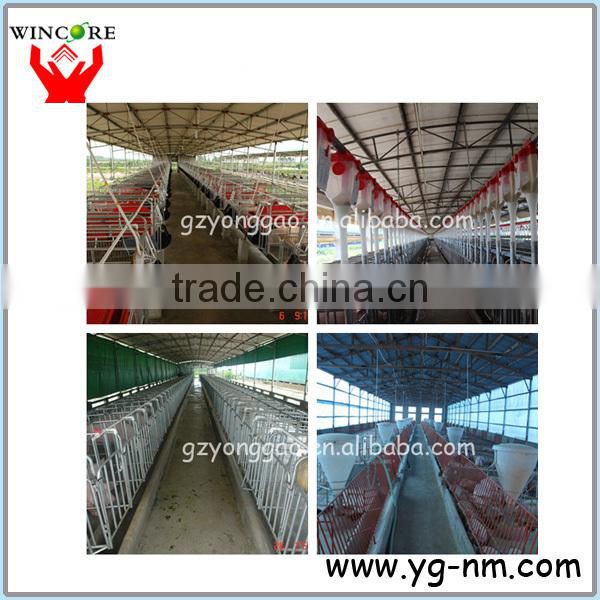 YONGGAO Professional chicken automatic feeder poultry farm waterers automatic feeding system