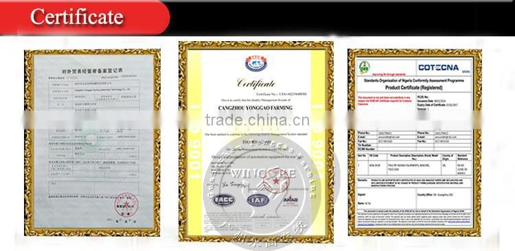 Pig Farming Feeding Equipment Livestock Equipment