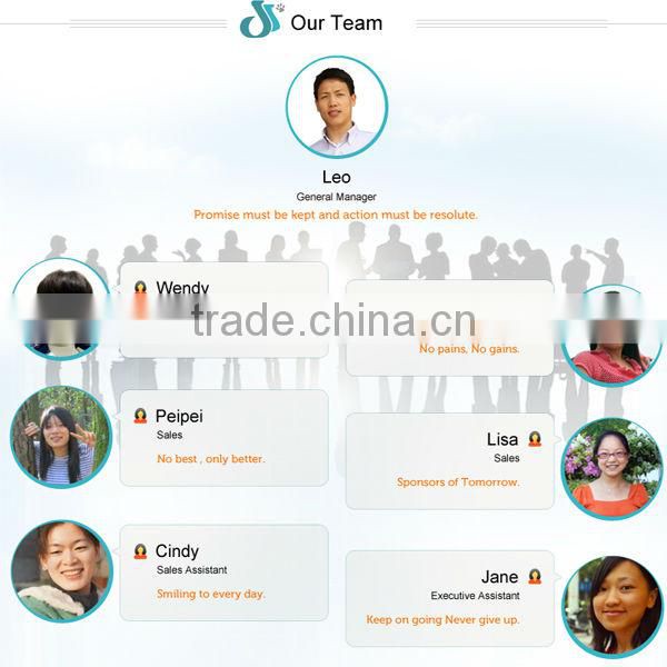 Wholesale New Design Children Playhouse DFP024