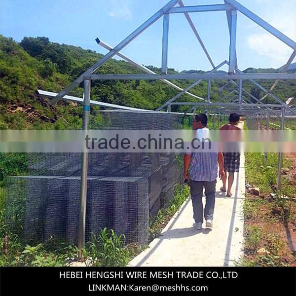 galanized welded wire mink cage