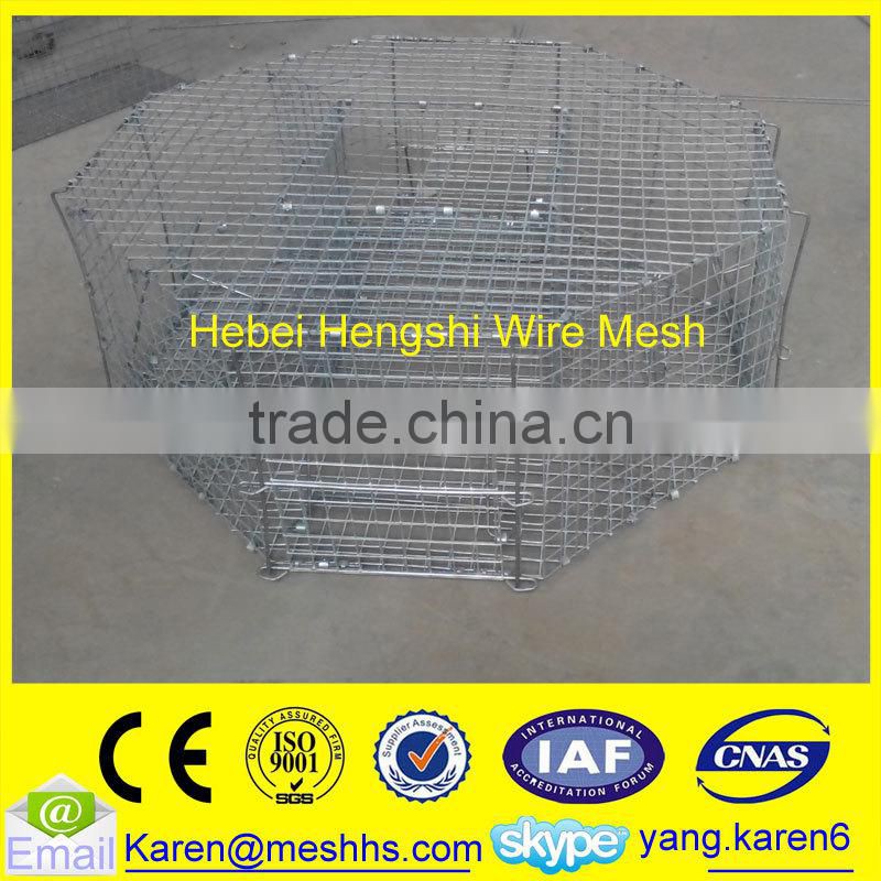 cage for catching birds