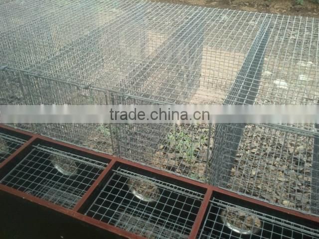 Anping Mink cage