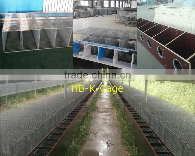 mink cage