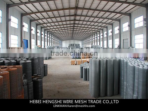 galanized welded wire mink cage