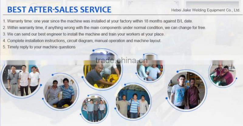 Full Automatic Animal Cage Runs Steel Wire Mesh Welded Machines