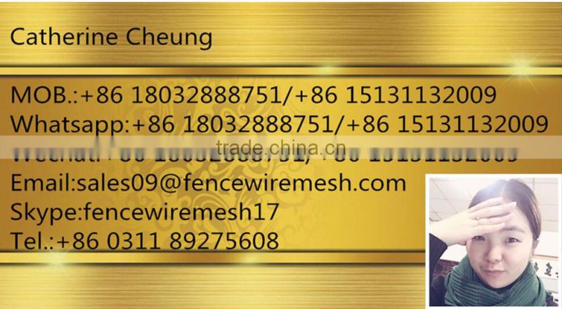 Best price anti climb 358 prison fencing factory