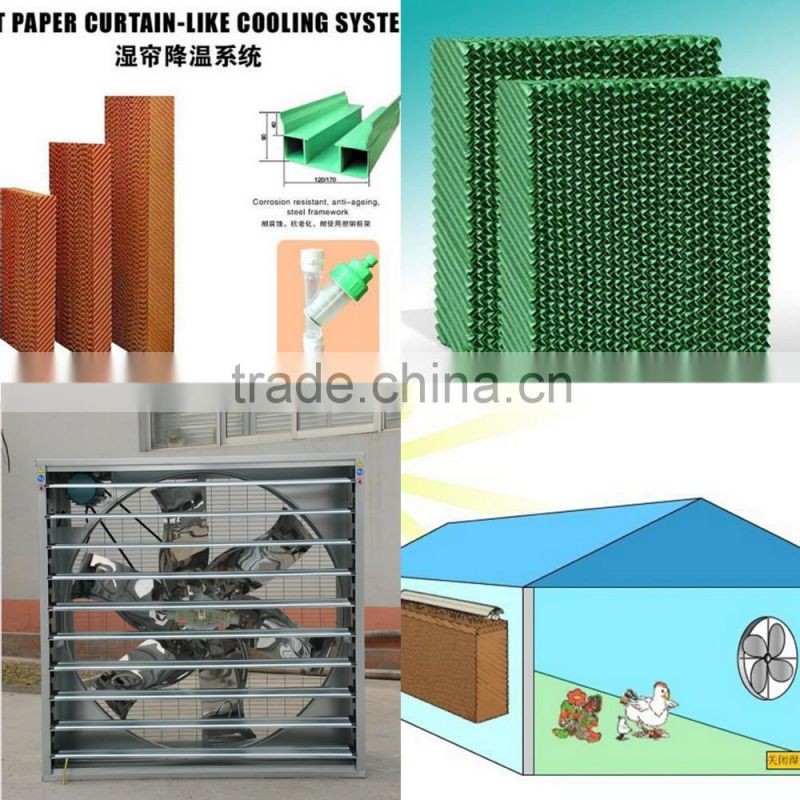 Full Automatic egg collector with egg collection belt for poultry farm
