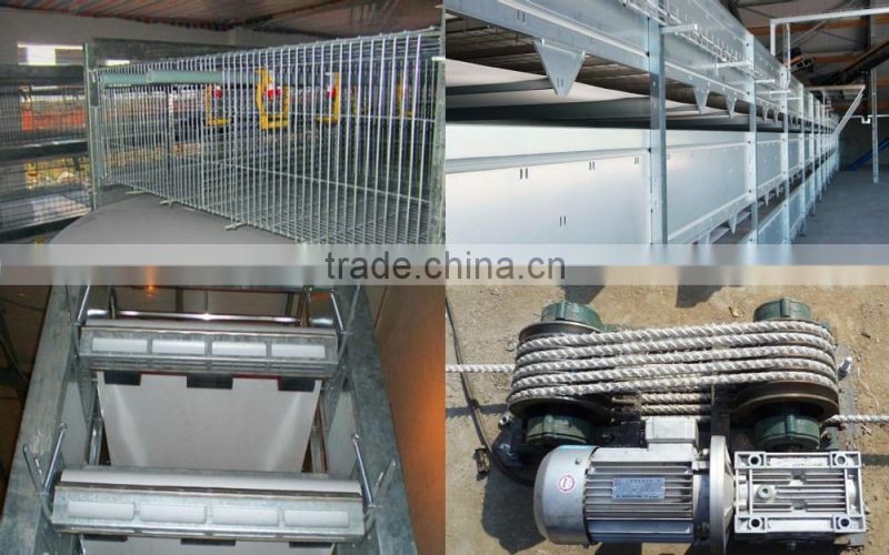 Full Automatic egg collector with egg collection belt for poultry farm