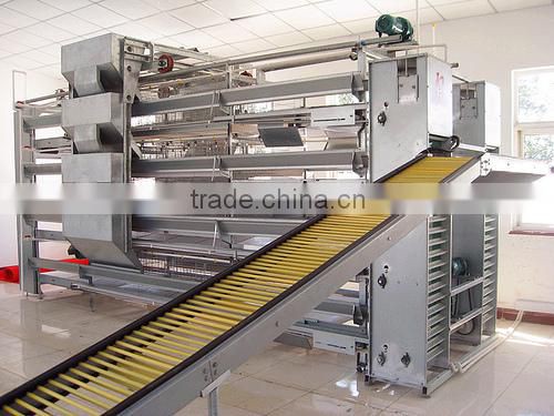 Full Automatic egg collector with egg collection belt for poultry farm