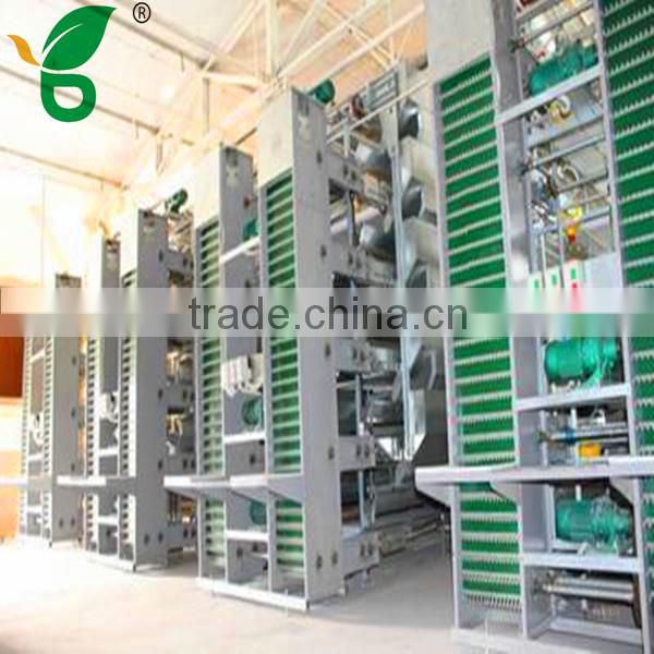 chicken farm automatic egg collection systems