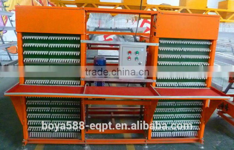 la raccolta automatica delle uova