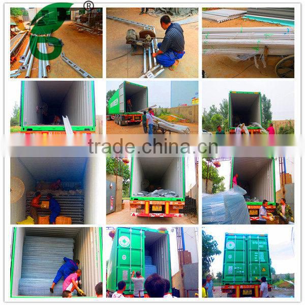 Hot sale full automatic egg collection production sold to south korea