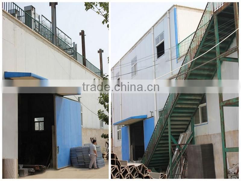 full automatic egg collection system