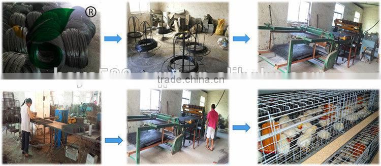 Full Automatic egg collector with egg collection belt for poultry farm