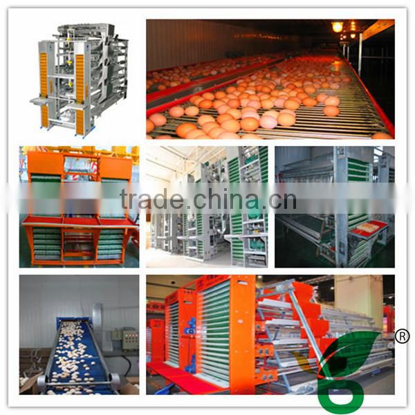 chicken farm automatic egg collection systems