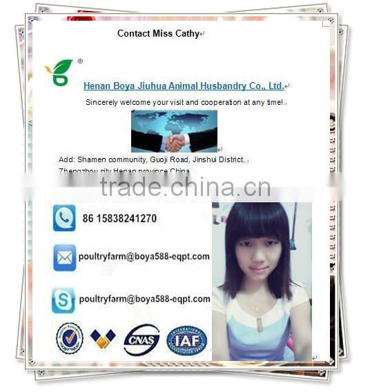 automatic poultry egg collector