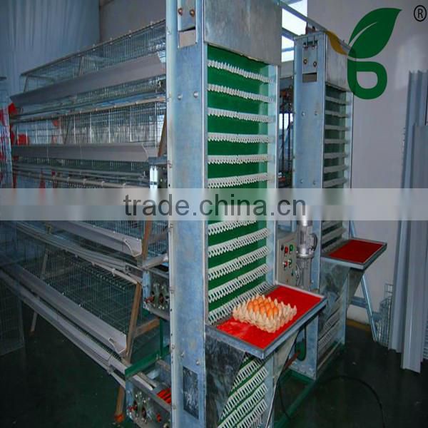 automatic egg collection battery chicken cages