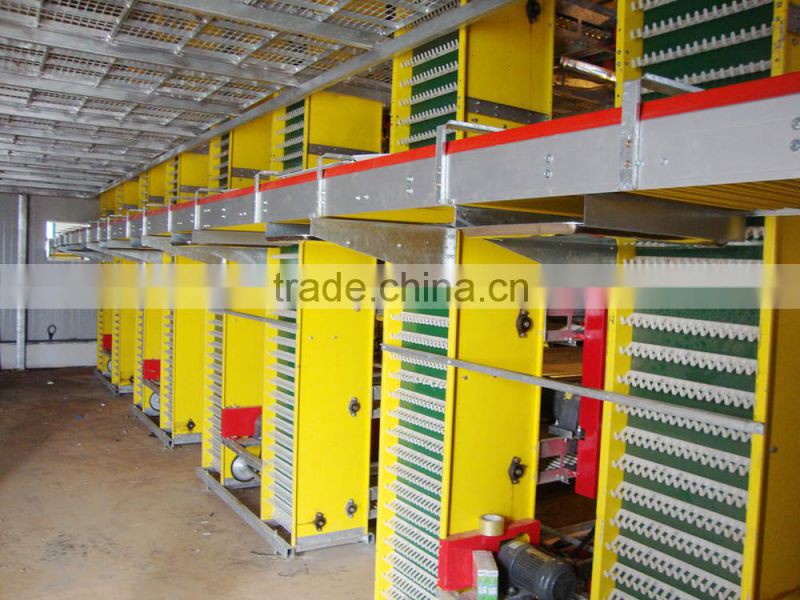 Full equiped egg collection use for egg chicken farms equipment