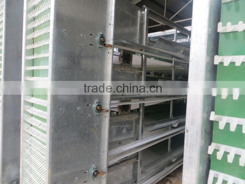 automatic egg collection battery chicken cages