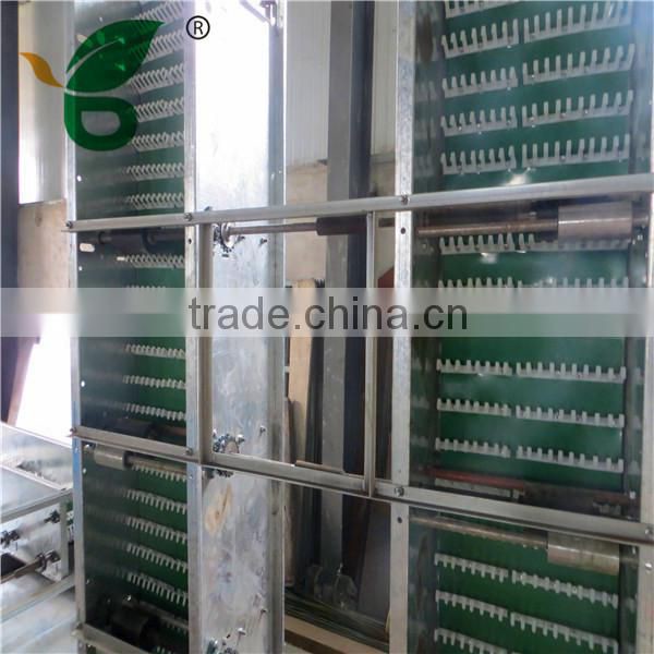 la raccolta automatica delle uova