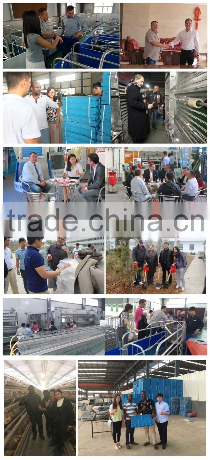 automatic poultry nipple drinker