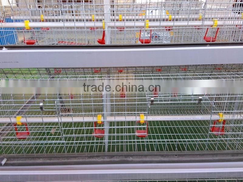 automatic poultry nipple drinker