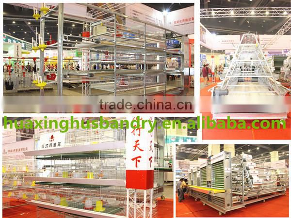 commercial chicken wire mesh cage with auto-equipments