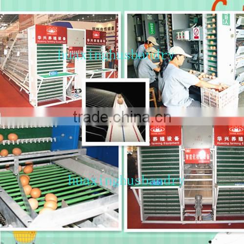 A type automatic brooder cage for chicken