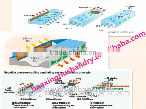 commercial chicken wire mesh cage with auto-equipments