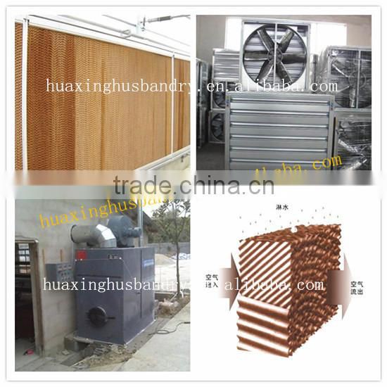 A type automatic brooder cage for chicken