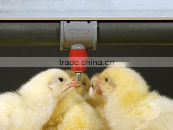 Egg collection laying hen cage/cheap battery layer chicken cage