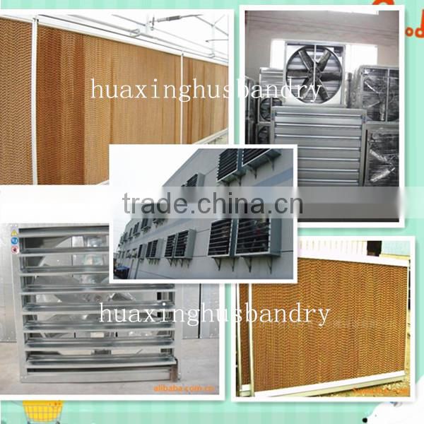 Egg collection laying hen cage/cheap battery layer chicken cage