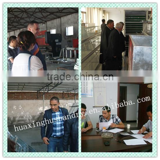 Egg collection laying hen cage/cheap battery layer chicken cage