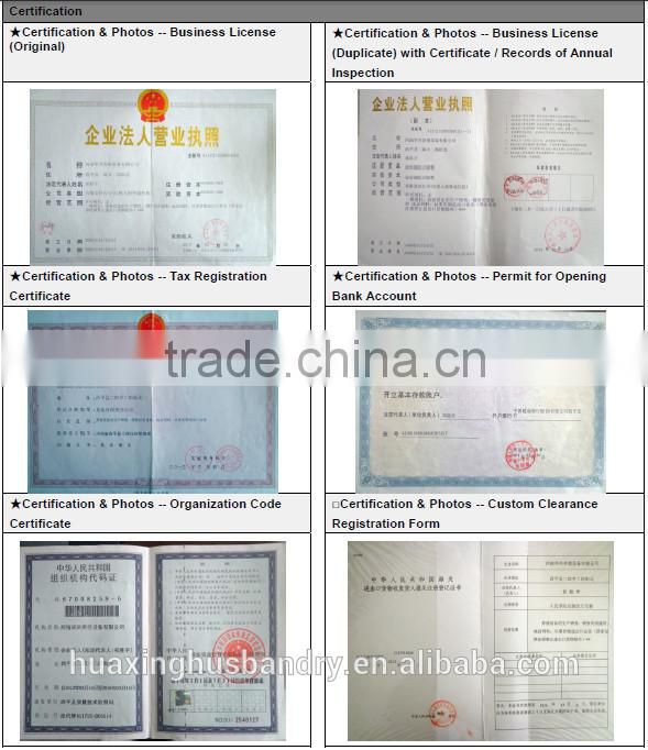 Egg collection laying hen cage/cheap battery layer chicken cage