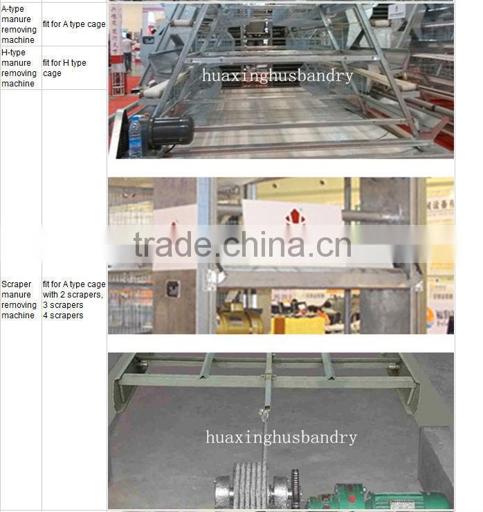 Egg collection laying hen cage/cheap battery layer chicken cage