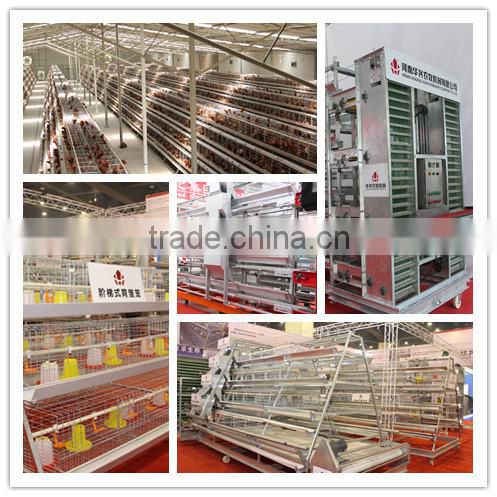 A type automatic brooder cage for chicken