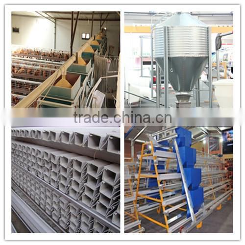 A type automatic brooder cage for chicken