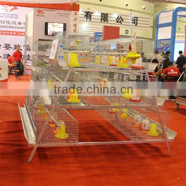 A type automatic brooder cage for chicken